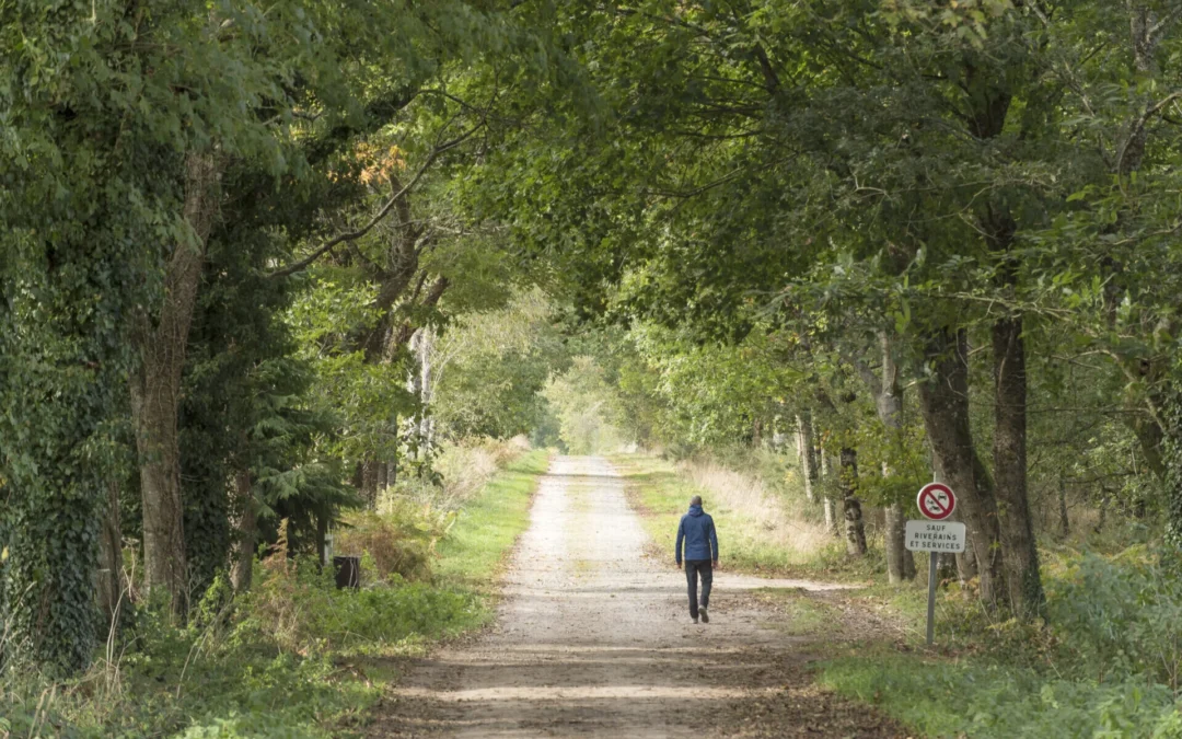 Chemins de randonnées